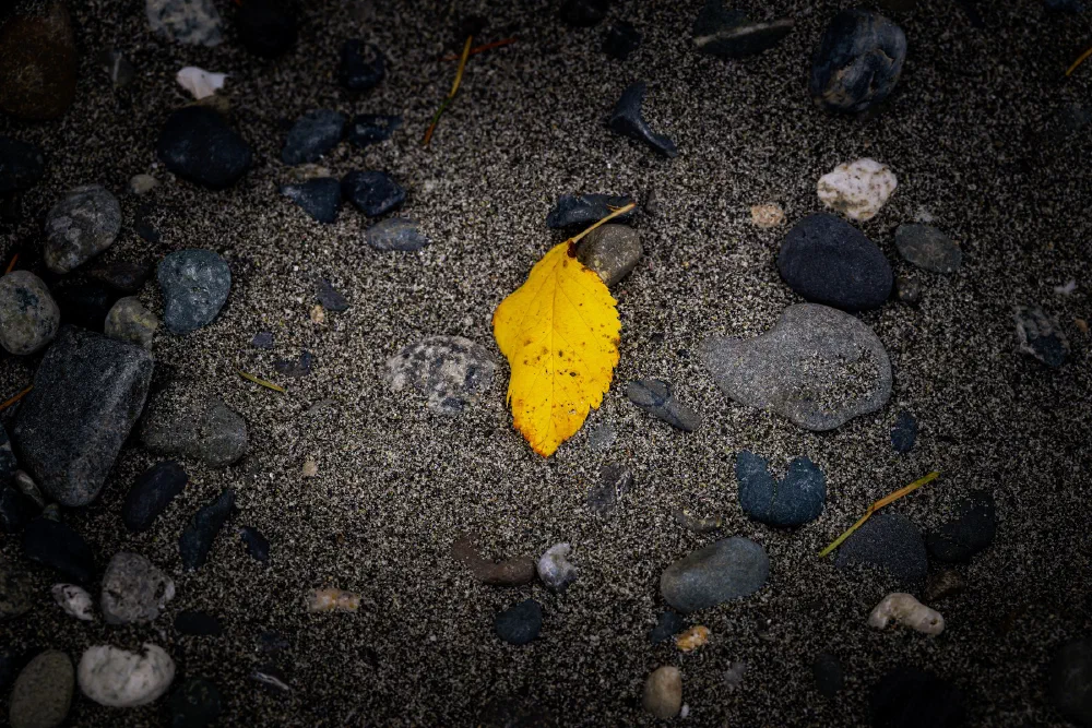 A single yellow leaf rests on a textured ground covered with small stones and pebbles.