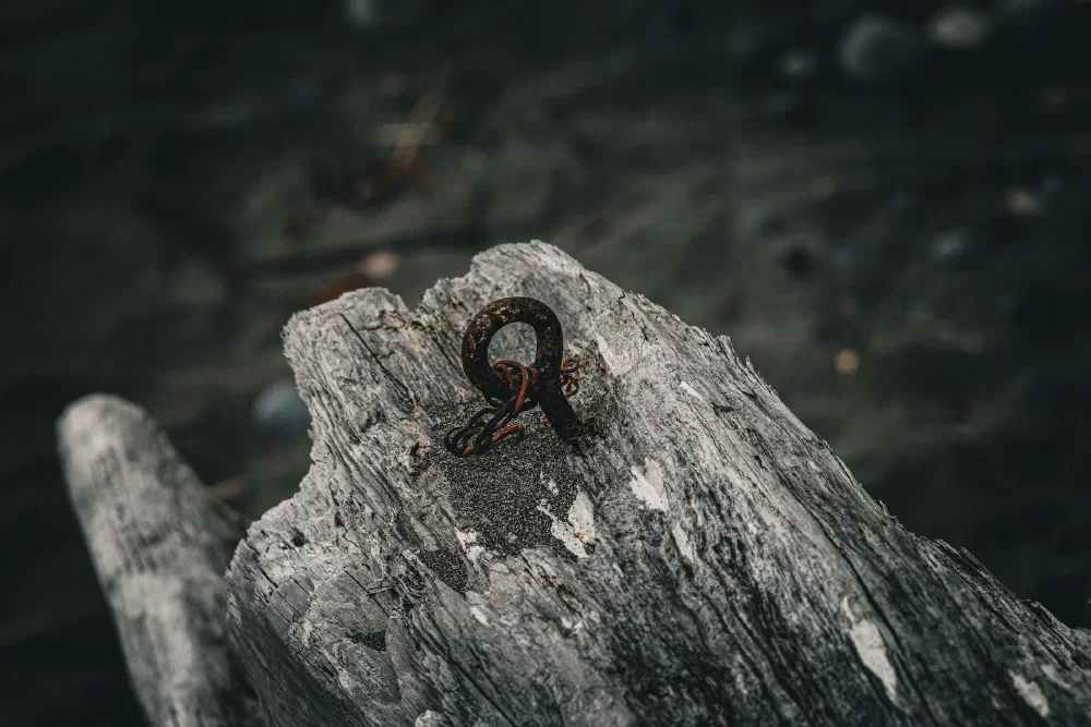 A rusty metal staple is embedded in a weathered piece of driftwood on a sandy surface.