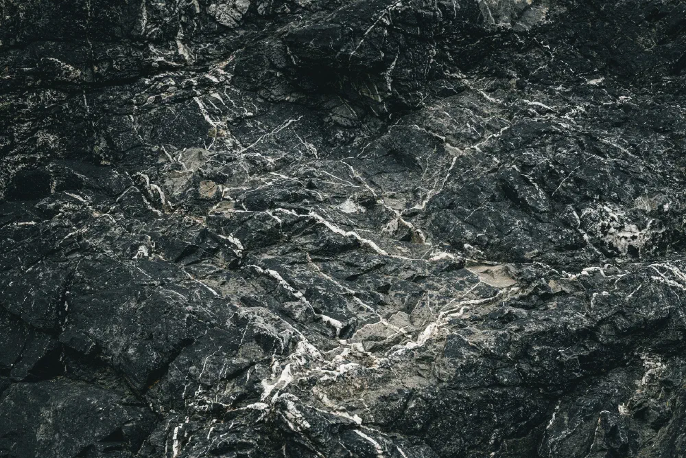 A close-up view of dark, textured rock with white mineral veins running through it.