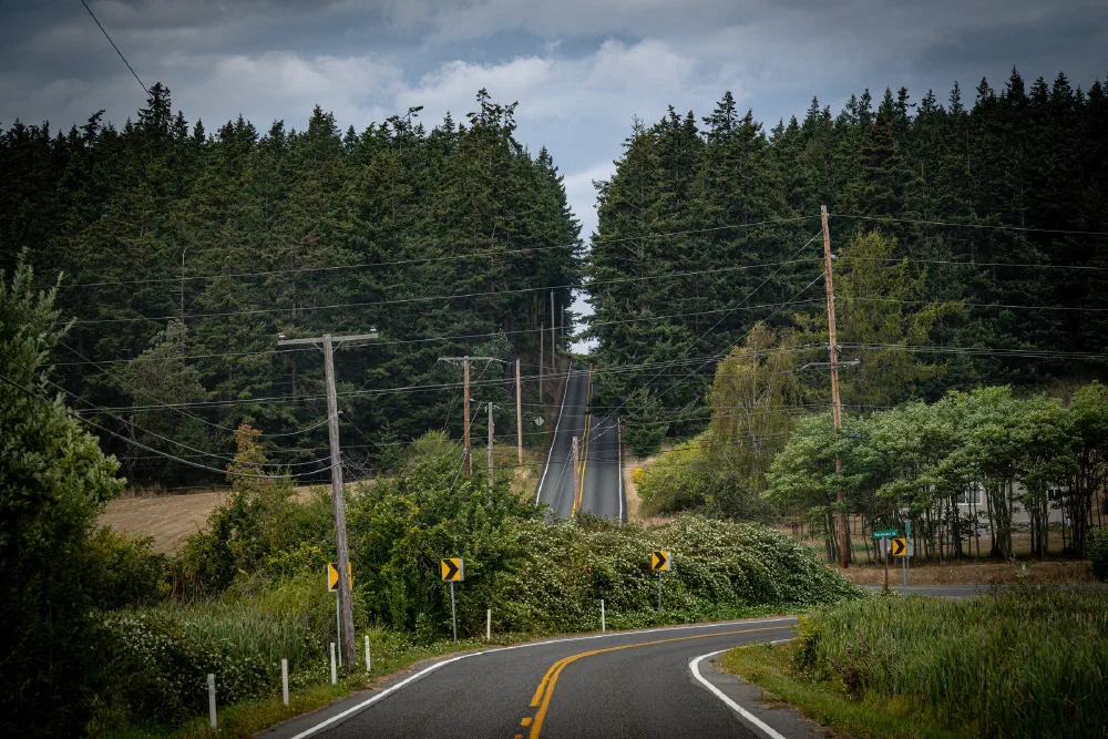 A winding road leads toward a dense forest under a cloudy sky, with utility poles and road signs along the way.