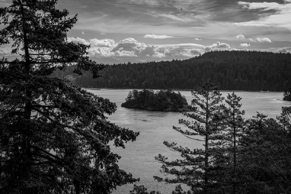 A calm body of water surrounded by forested hills and framed by tall trees in the foreground under a partly cloudy sky.
