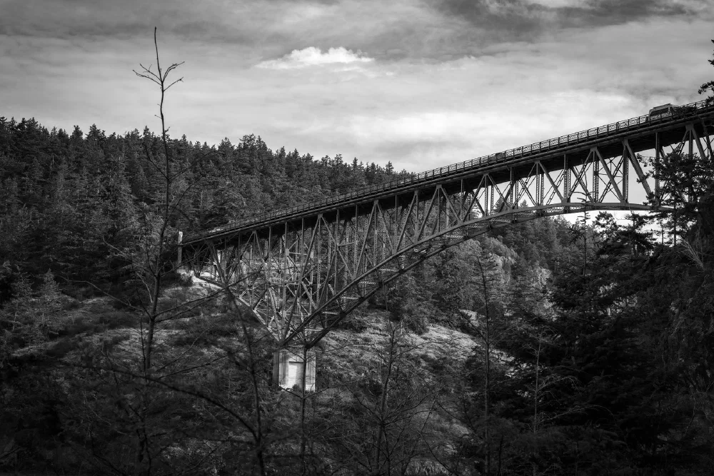 A large steel bridge spans across a deep forested valley under a cloudy sky.