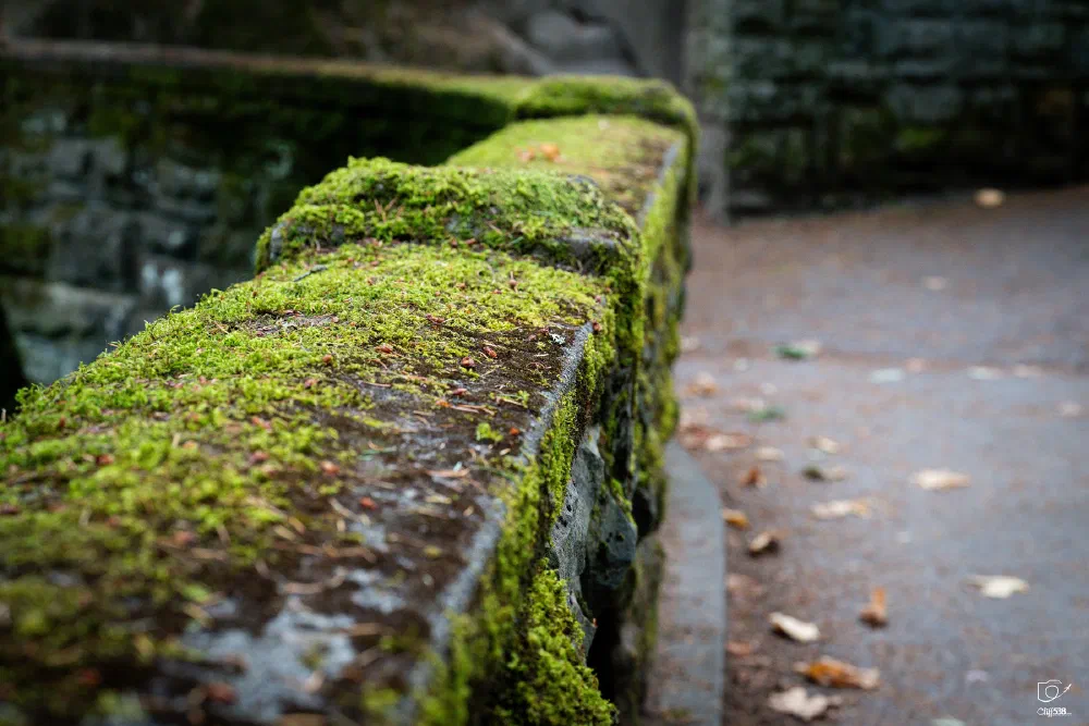 A moss-covered stone railing lines a pathway in an outdoor setting.