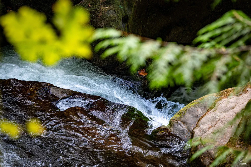 A flowing stream cascades over rocks surrounded by green foliage in a natural setting.