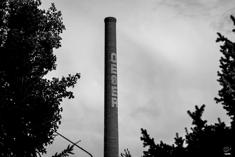 A tall brick smokestack with the word DESER painted vertically stands against a cloudy sky, framed by tree branches.