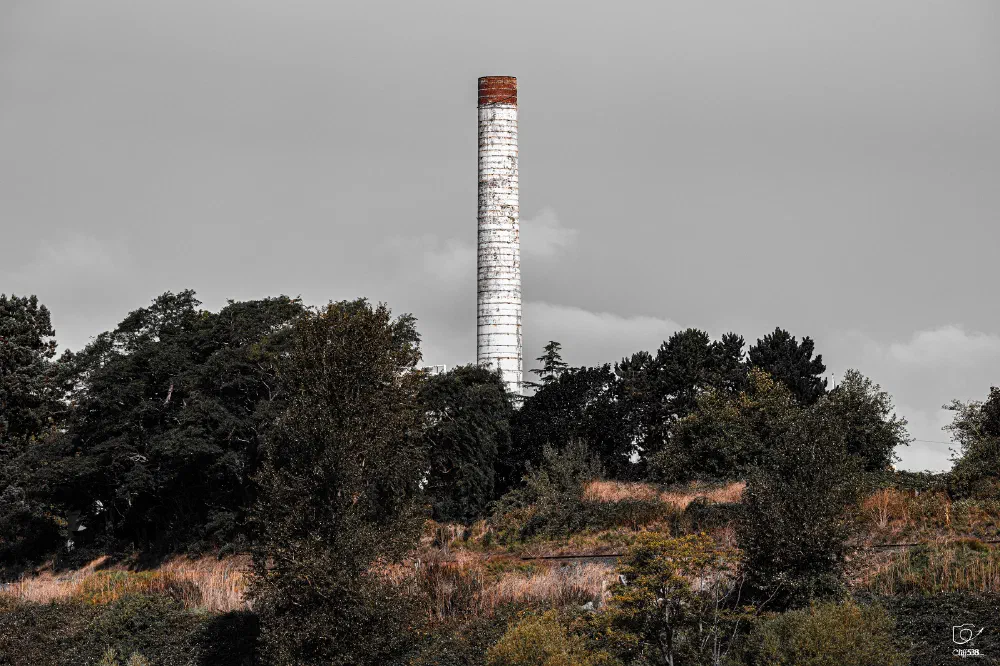 A tall, white, cylindrical smokestack rises above a wooded and grassy area under a cloudy sky.