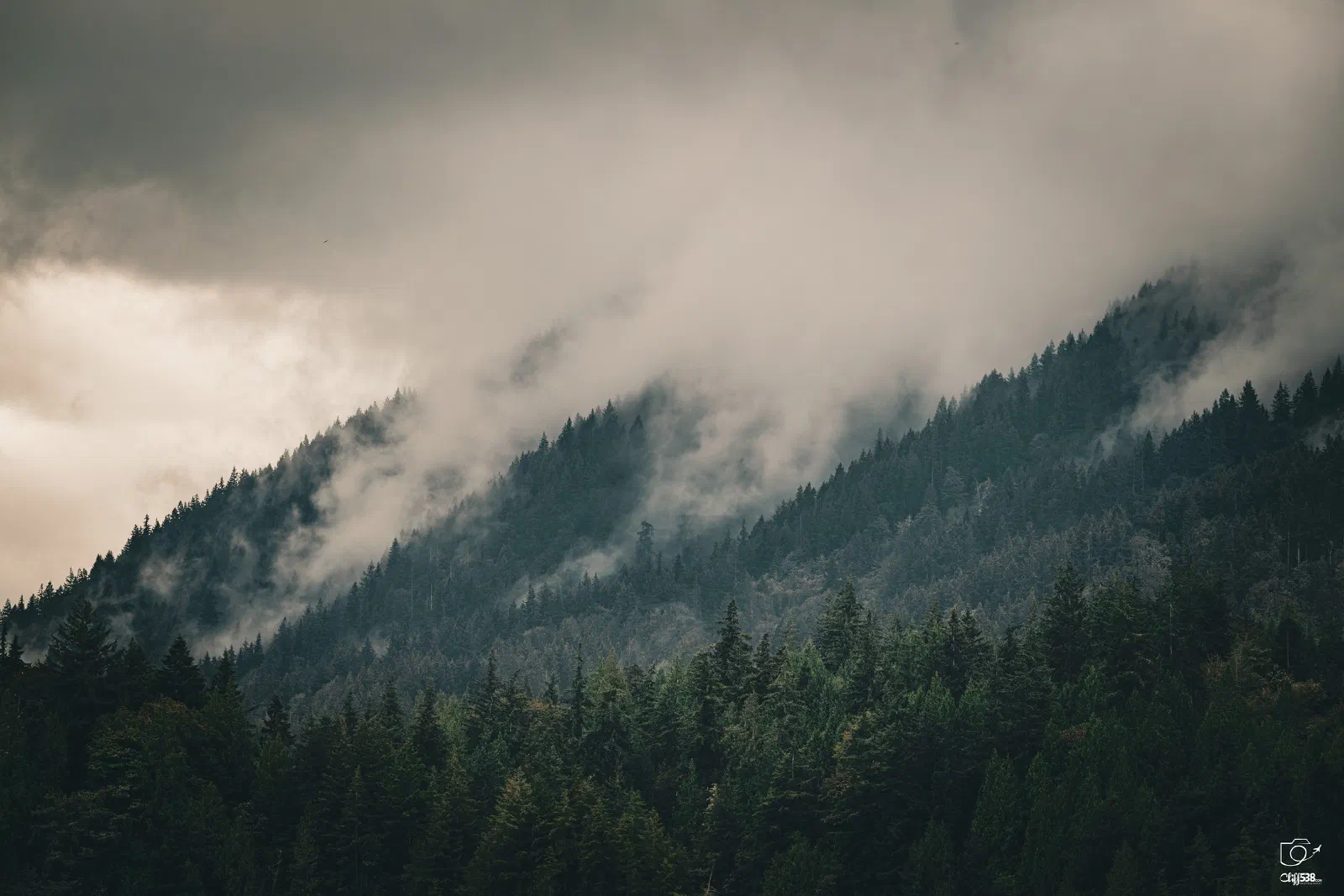A misty forested mountain slope is partially obscured by low-hanging clouds under a moody sky.
