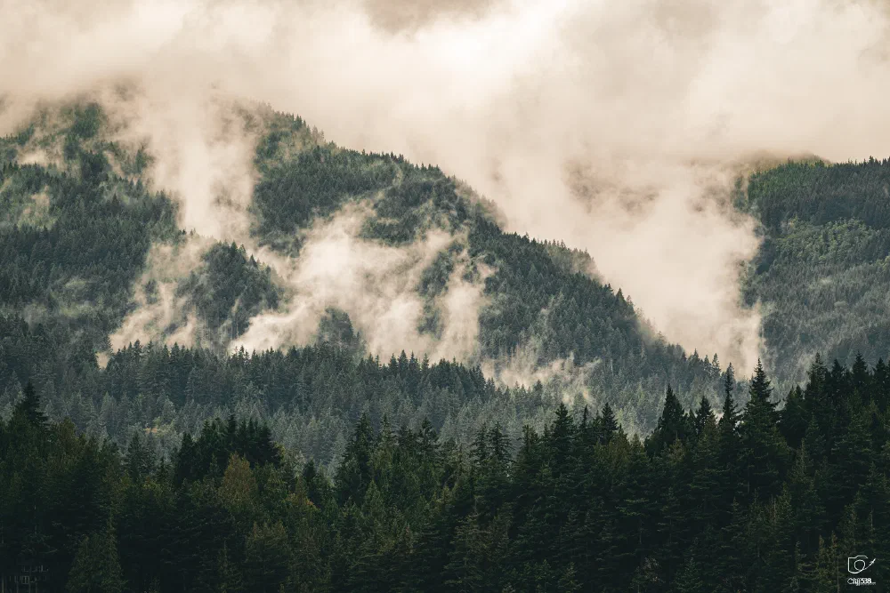 Dense evergreen forests cover the slopes of misty mountains under a cloudy sky.