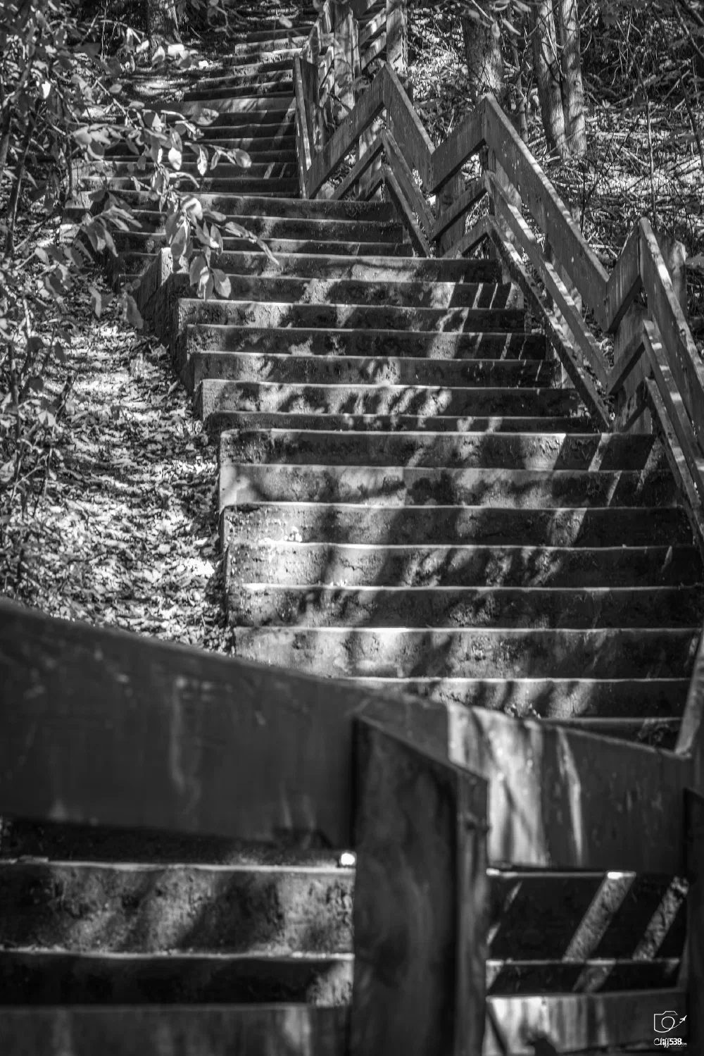 A long, outdoor wooden staircase winding upward through a wooded area is highlighted by dappled sunlight and shadows.
