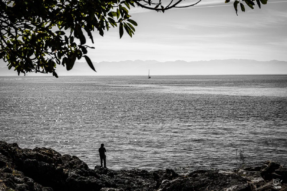 A solitary person stands on rocky shore under tree branches, gazing out at a calm sea with a distant sailboat and mountains on the horizon.