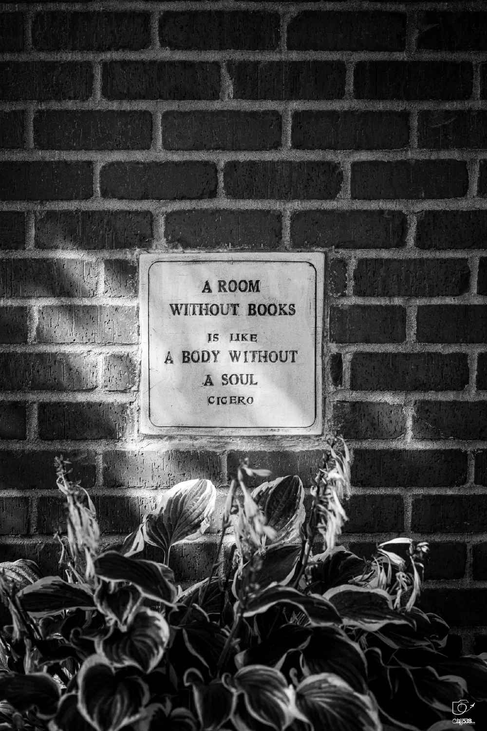 A brick wall features a plaque with a quote by Cicero that reads, A room without books is like a body without a soul, with plants growing at the base.