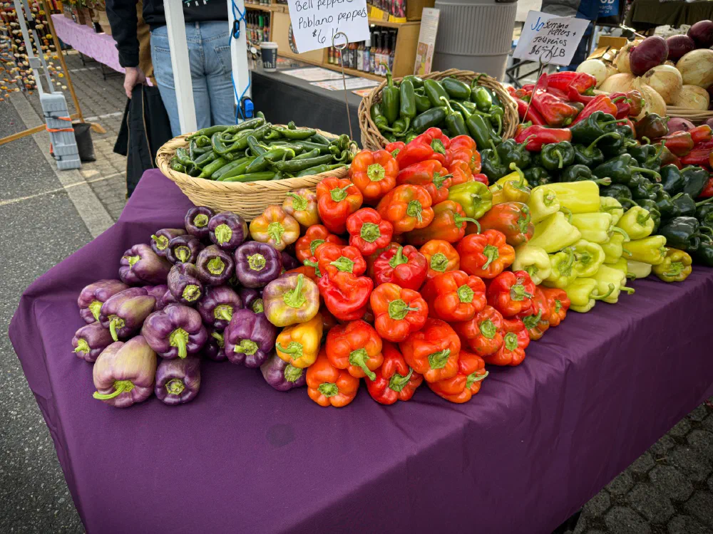 A variety of colorful peppers, including purple, red, yellow, and green ones, are neatly arranged on a table covered with a purple cloth at a market stall.