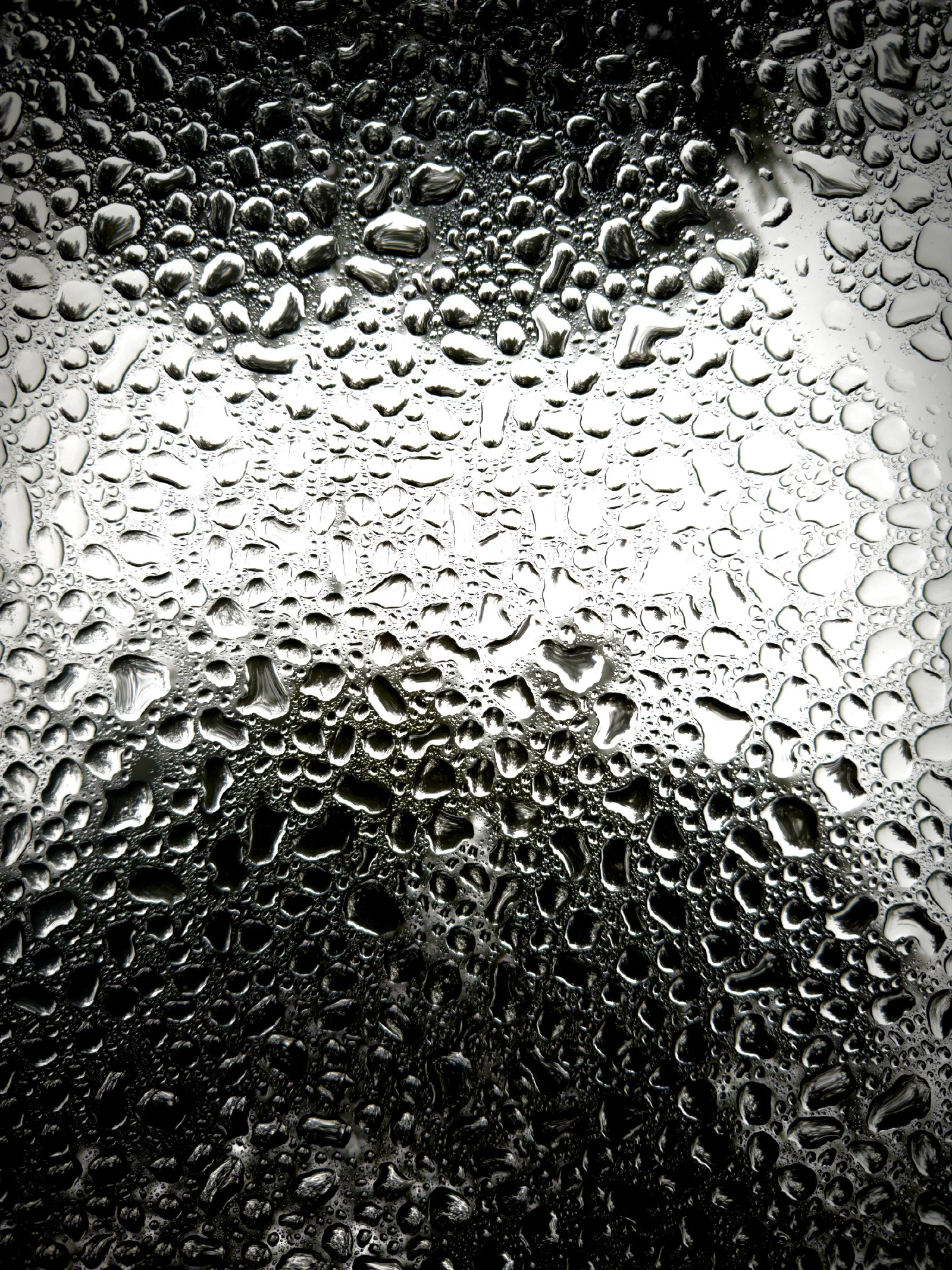 Numerous water droplets are scattered across a dark surface with a bright light shining through from behind.