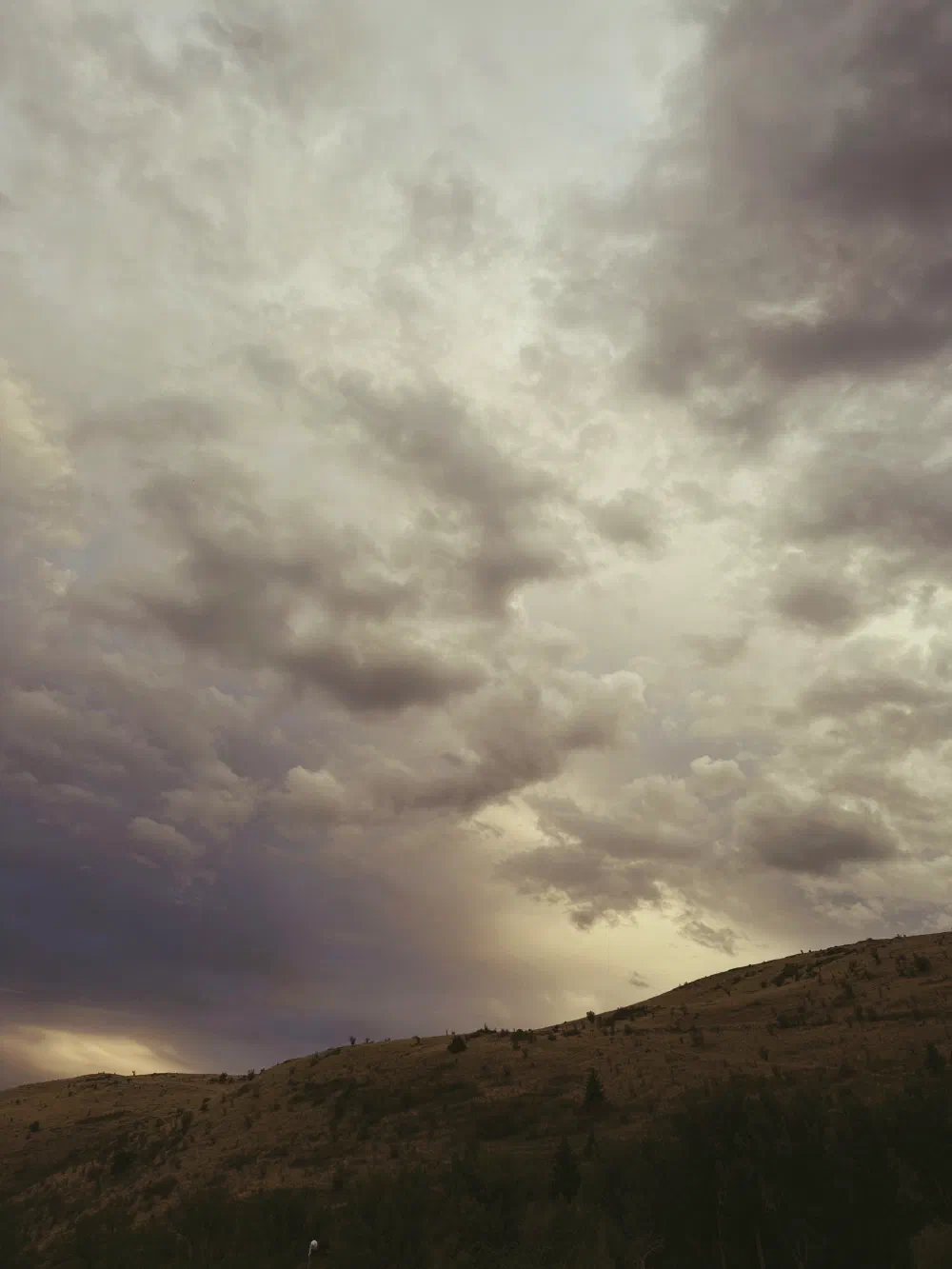 Cloudy skies stretch over a gently sloping hill dotted with sparse vegetation.