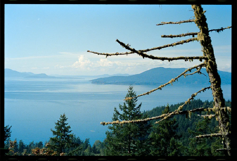A scenic view of a calm body of water surrounded by forested hills and mountains under a clear blue sky.