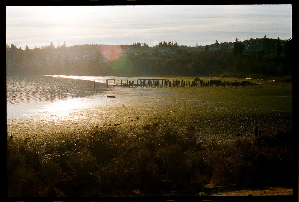 A serene lakeside scene at sunset features calm water, wooden posts emerging from the lake, and a wooded shoreline in the background.