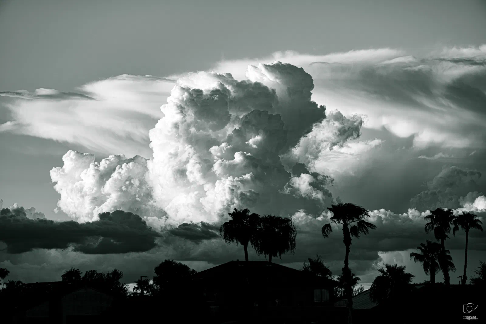 A dramatic sky filled with large, billowing clouds looms over silhouetted palm trees and buildings.